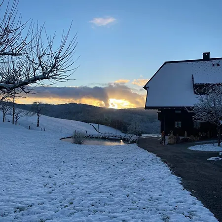 Kapellenhof Appartement Triberg im Schwarzwald